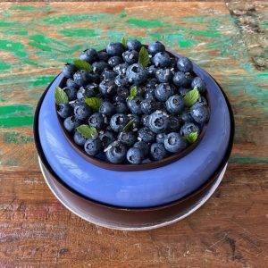 Copyright Valerio Barralis - Corso #SmartPastry® Advanced - Myrtilles